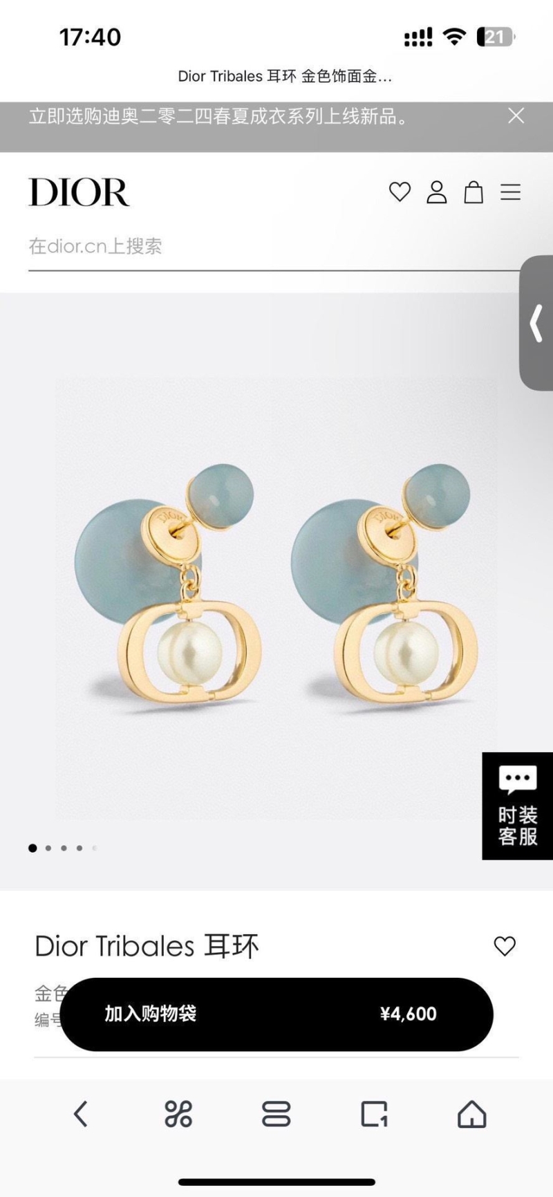 Christian Dior Earrings